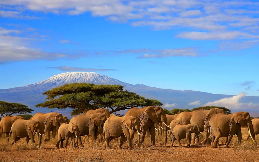 kilimanjaro_tanzania