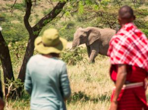 Safari a pie con guerreros Masai en Kenia