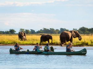 Safari en canoa en Mana Pools