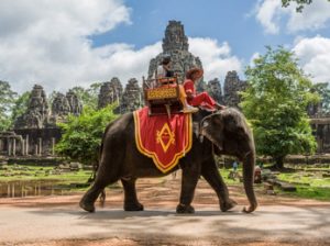 Camboya - Paseo en elefante al atardecer