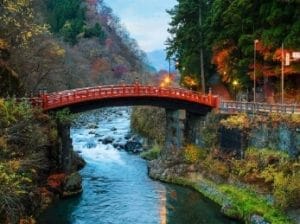 nikko-bridge