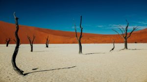 desierto namib