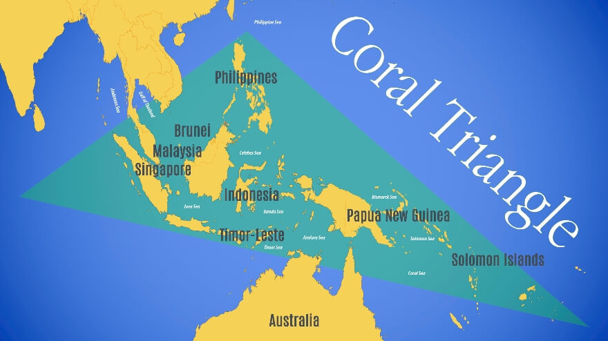 mapa triangulo de coral