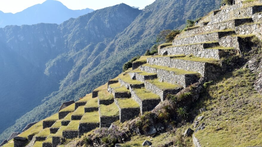 terrazas machu picchu (1)
